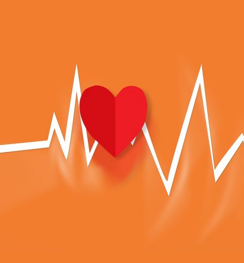 heart, beat, heart beat-2211180.jpg